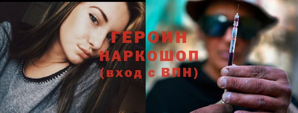 стаф Новокубанск