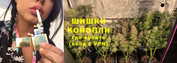 таблы Новодвинск