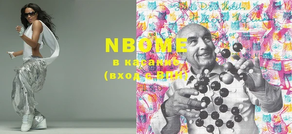 прущие грибы Новозыбков