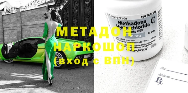 прущие грибы Новозыбков