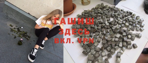 стаф Новокубанск