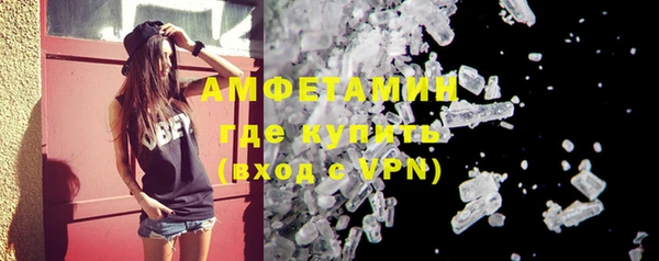 прущие грибы Новозыбков