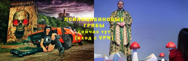 a pvp Няндома