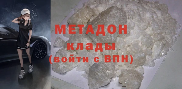 прущие грибы Новозыбков
