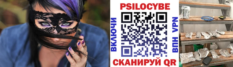 цена   Кологрив  Галлюциногенные грибы MAGIC MUSHROOMS 